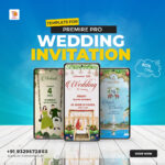 Caricuter Hindu Wedding Invitation